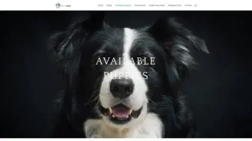 Screenshot of