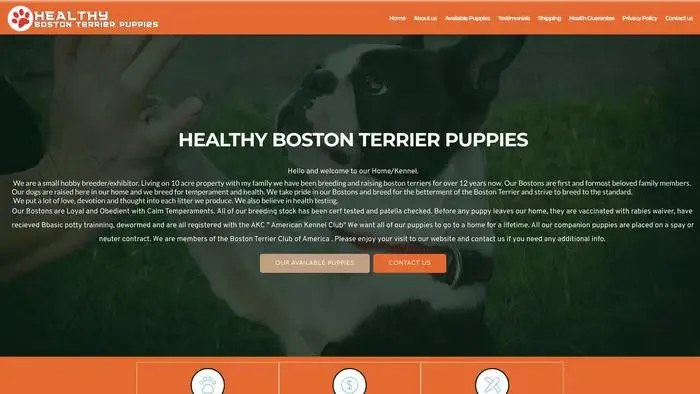 Screenshot of