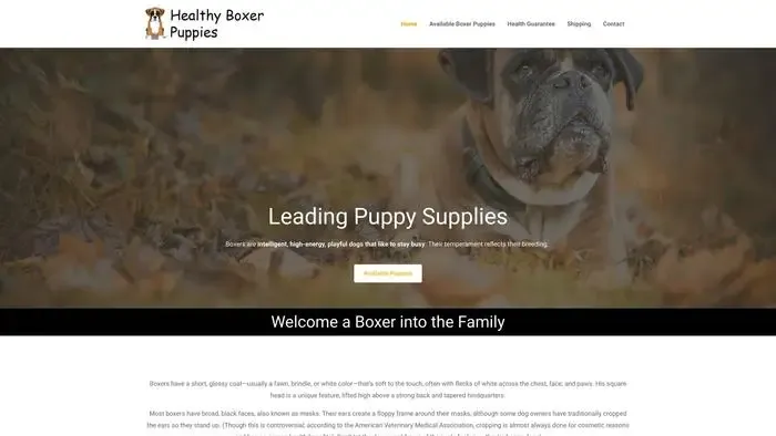 Screenshot of