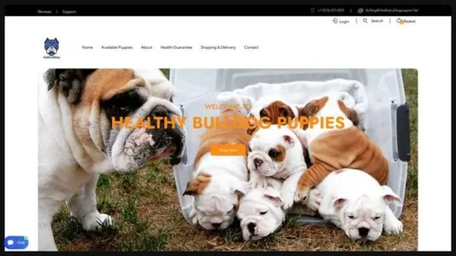 Screenshot of
