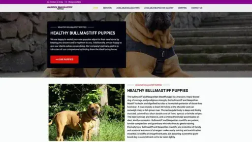 Screenshot of