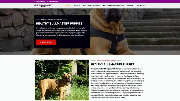 Screenshot of