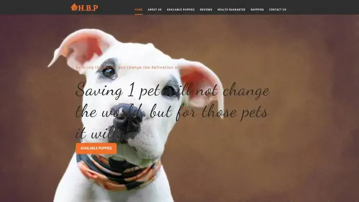 Screenshot of