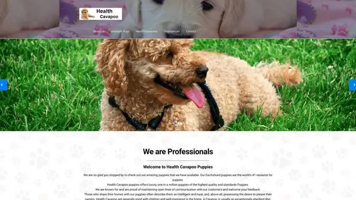 Screenshot of