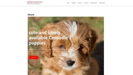 Screenshot of
