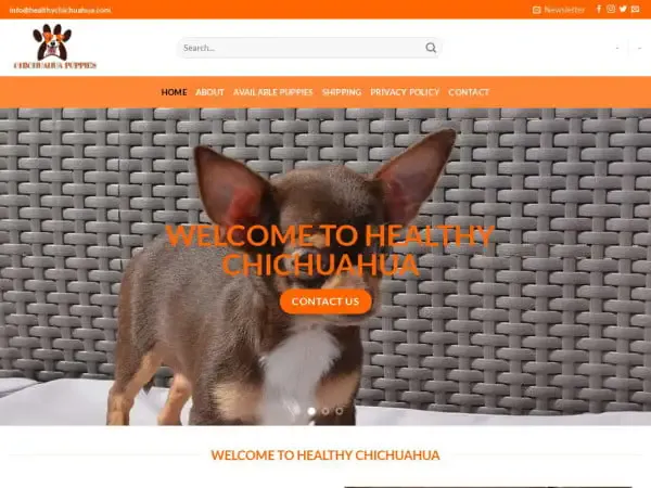 Screenshot of