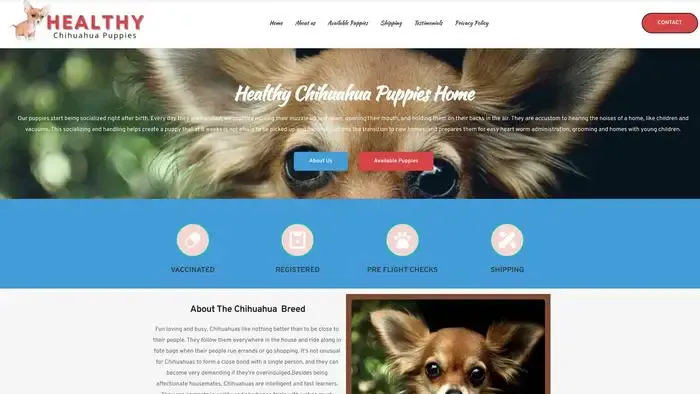 Screenshot of