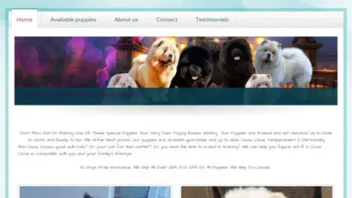 Screenshot of