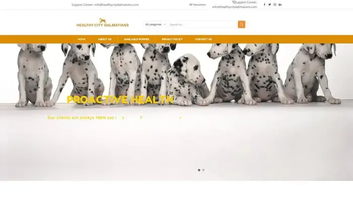 Screenshot of