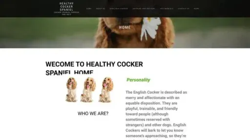 Screenshot of