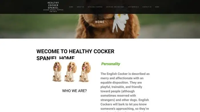 Screenshot of