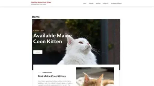 Screenshot of