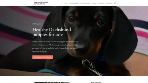 Screenshot of