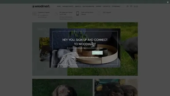 Screenshot of