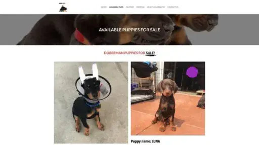 Screenshot of