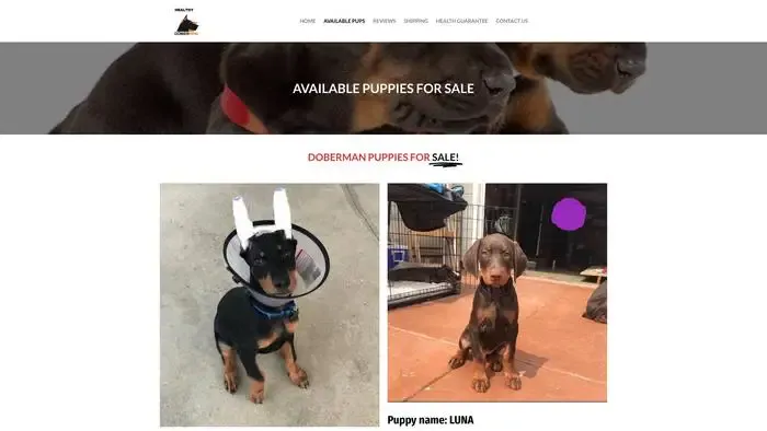 Screenshot of