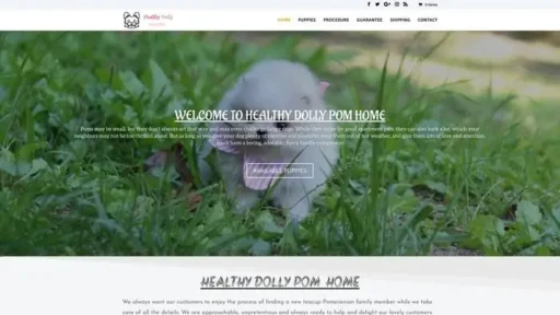 Screenshot of