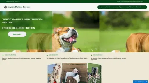 Screenshot of