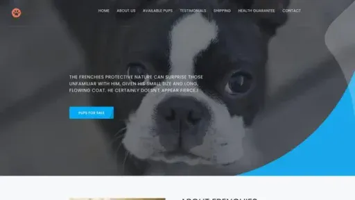 Screenshot of