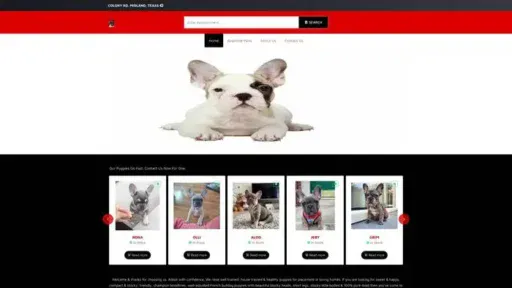 Screenshot of