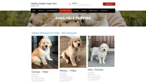 Screenshot of