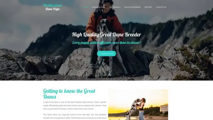 Screenshot of