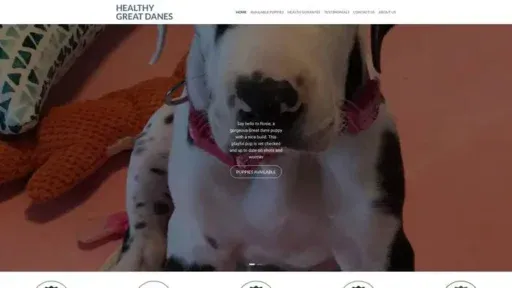 Screenshot of