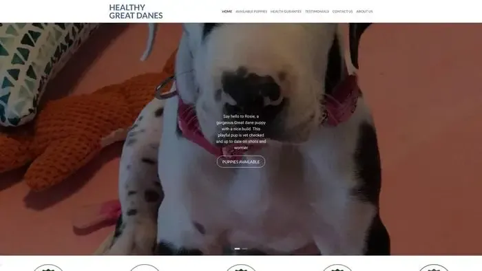 Screenshot of