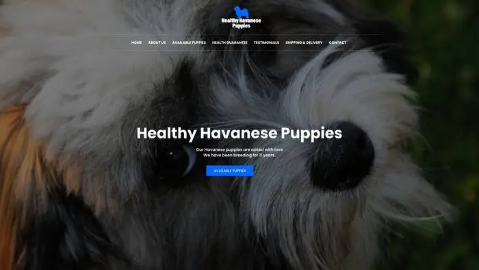 Screenshot of