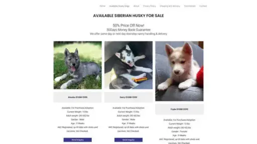 Screenshot of