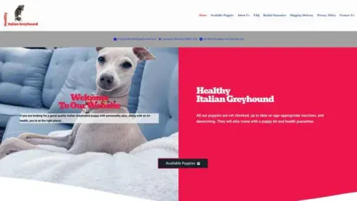 Screenshot of