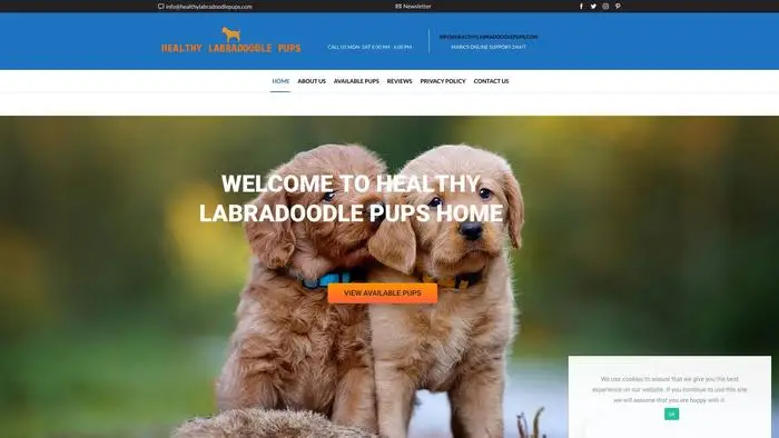 Screenshot of