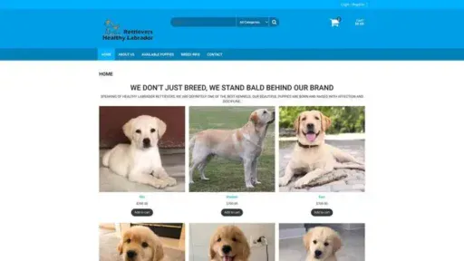 Screenshot of
