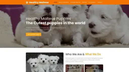 Screenshot of