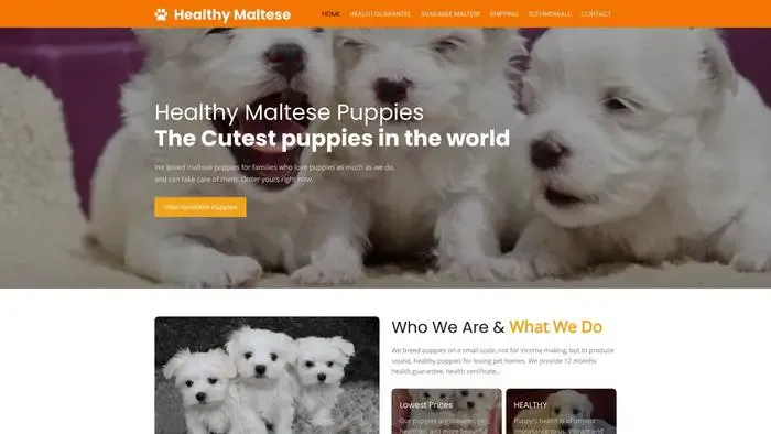 Screenshot of