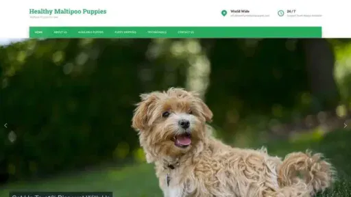 Screenshot of