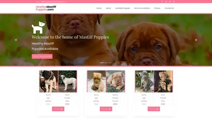 Screenshot of