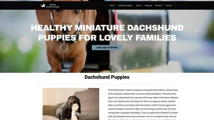 Screenshot of
