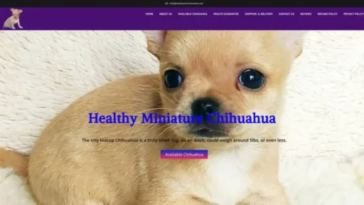 Screenshot of||