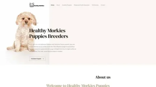 Screenshot of