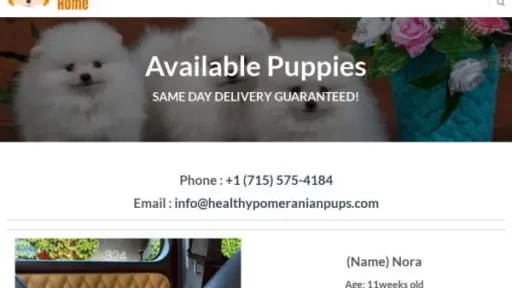Screenshot of