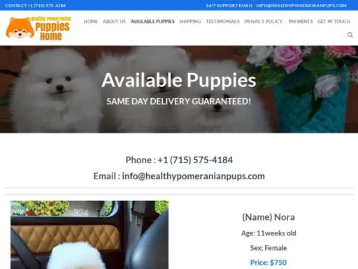 Screenshot of