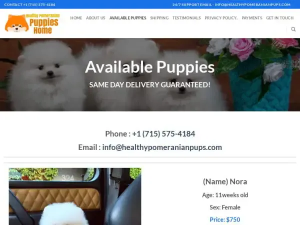 Screenshot of