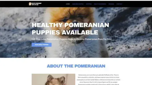 Screenshot of