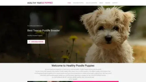 Screenshot of