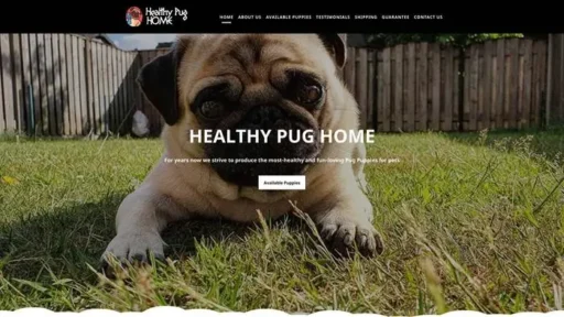 Screenshot of