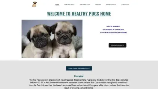 Screenshot of