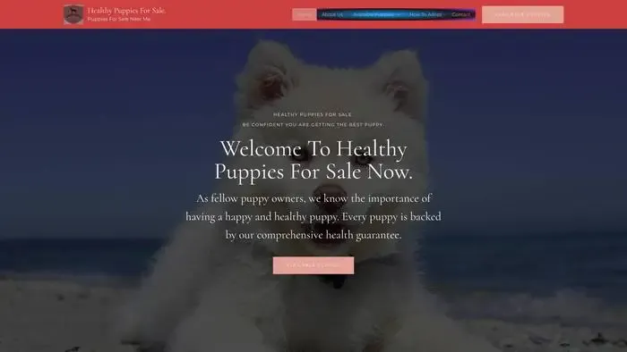 Screenshot of