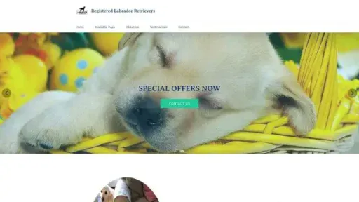 Screenshot of