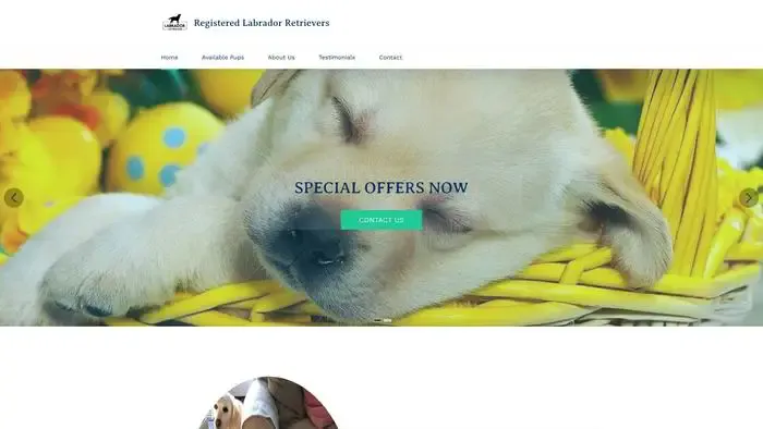 Screenshot of
